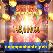 acompanhante pvh