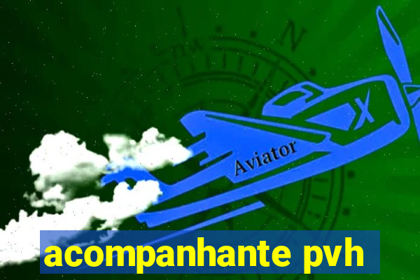 acompanhante pvh