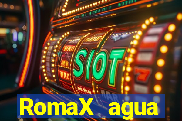 RomaX agua sanitaria fispq agua sanitaria romax