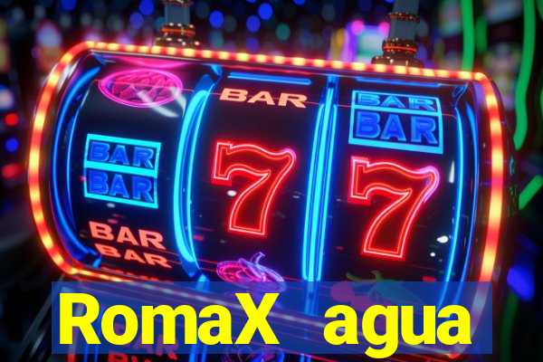 RomaX agua sanitaria fispq agua sanitaria romax