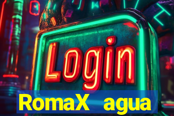 RomaX agua sanitaria fispq agua sanitaria romax