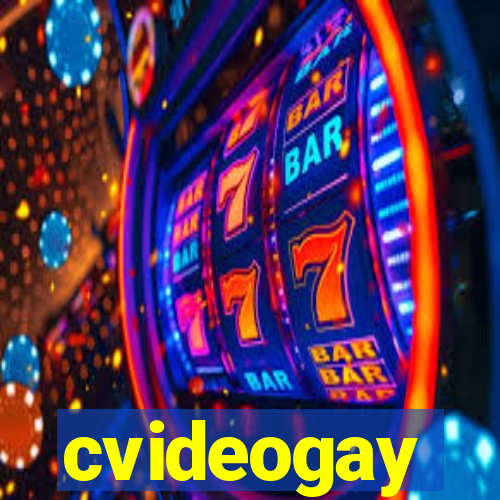 cvideogay