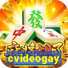 cvideogay