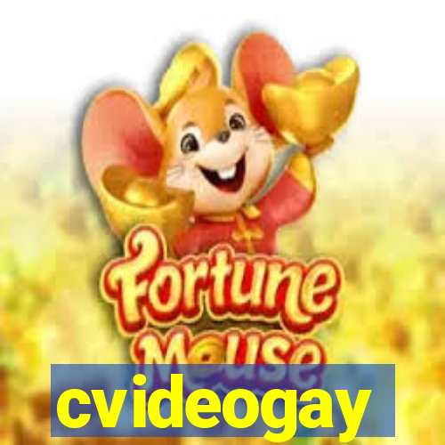 cvideogay