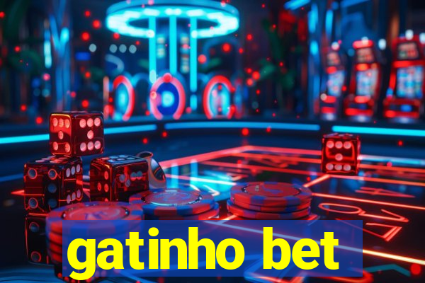 gatinho bet