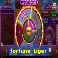 fortune tiger source code