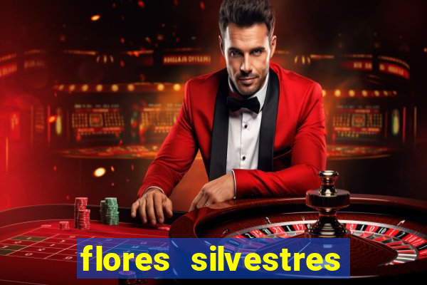 flores silvestres desbravadores desbravadores 25 flores silvestres e seus nomes