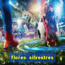 flores silvestres desbravadores desbravadores 25 flores silvestres e seus nomes