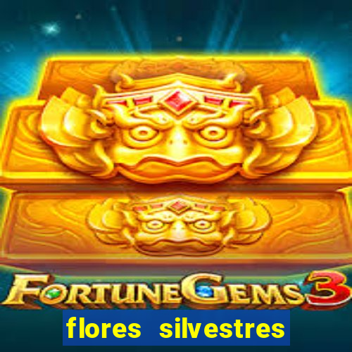 flores silvestres desbravadores desbravadores 25 flores silvestres e seus nomes