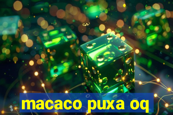 macaco puxa oq