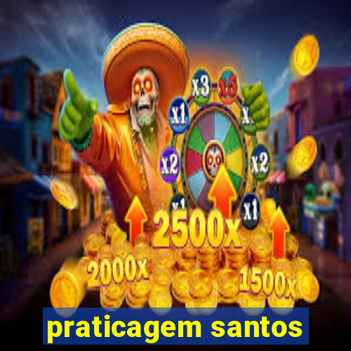 praticagem santos