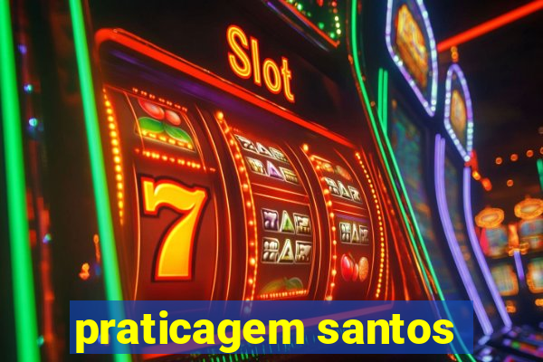 praticagem santos