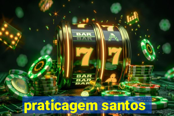 praticagem santos