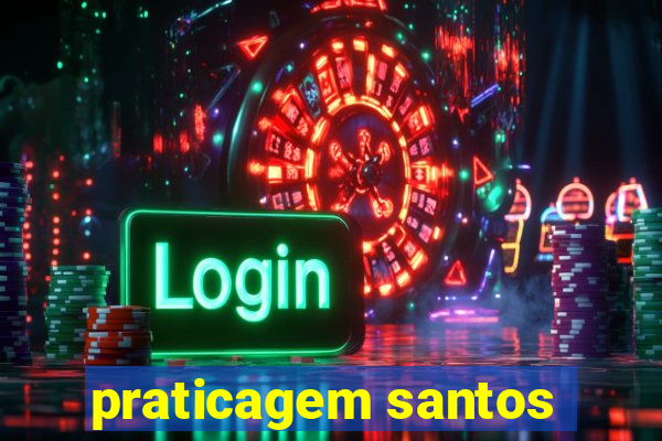 praticagem santos