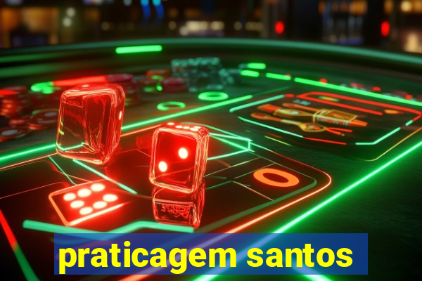 praticagem santos