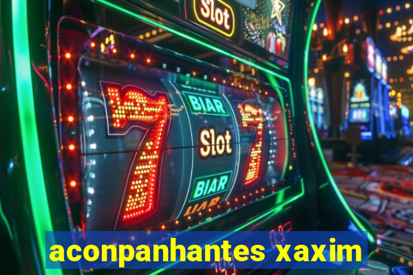 aconpanhantes xaxim