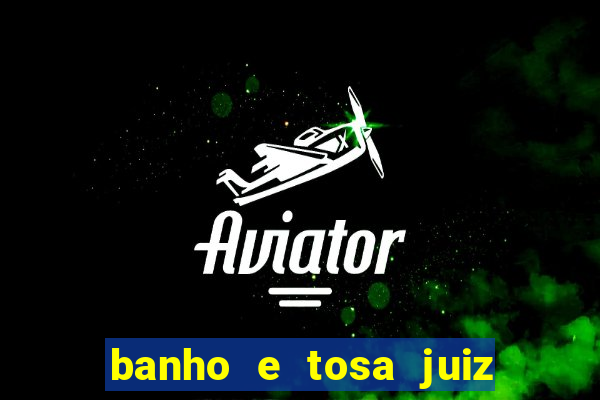 banho e tosa juiz de fora