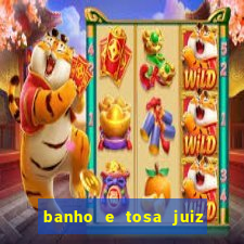 banho e tosa juiz de fora