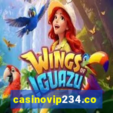 casinovip234.com