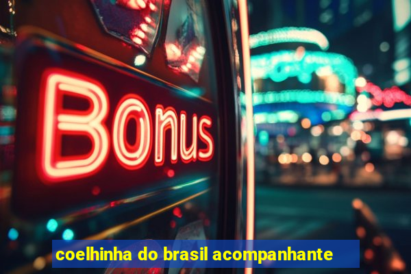 coelhinha do brasil acompanhante