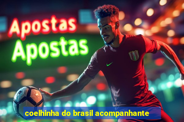 coelhinha do brasil acompanhante