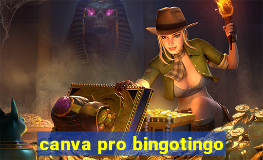 canva pro bingotingo