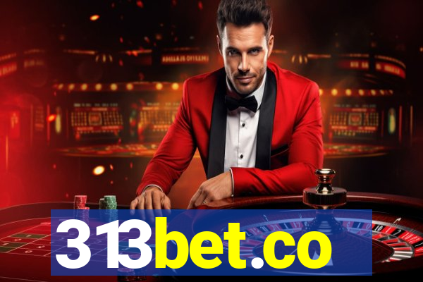 313bet.co