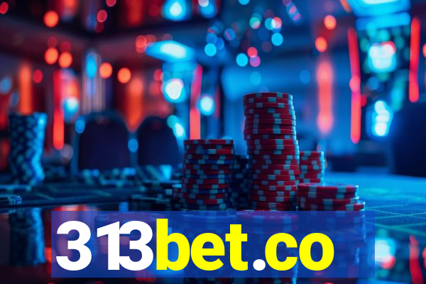 313bet.co