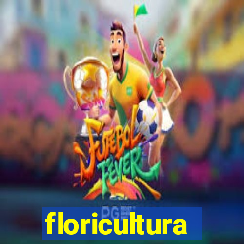 floricultura juazeiro bahia