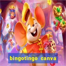 bingotingo canva pro gratis