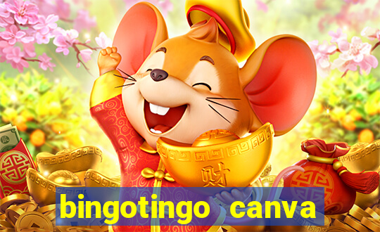 bingotingo canva pro gratis