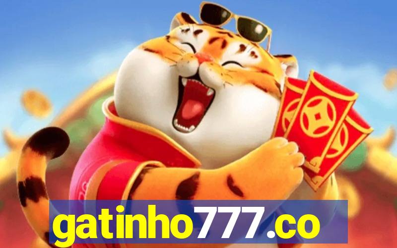 gatinho777.co