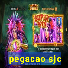 pegacao sjc