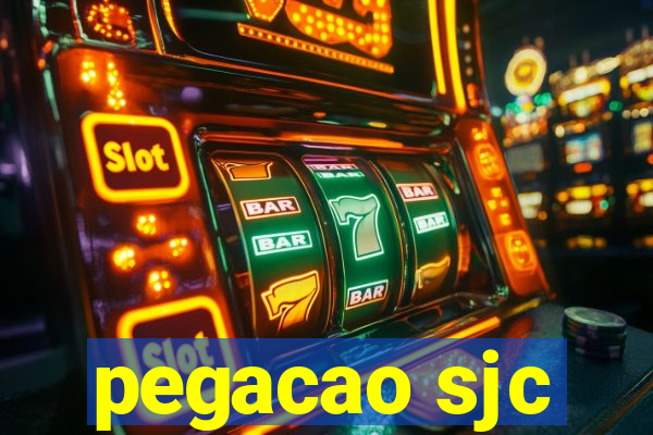 pegacao sjc