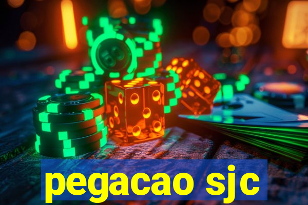 pegacao sjc