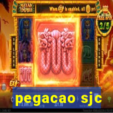 pegacao sjc