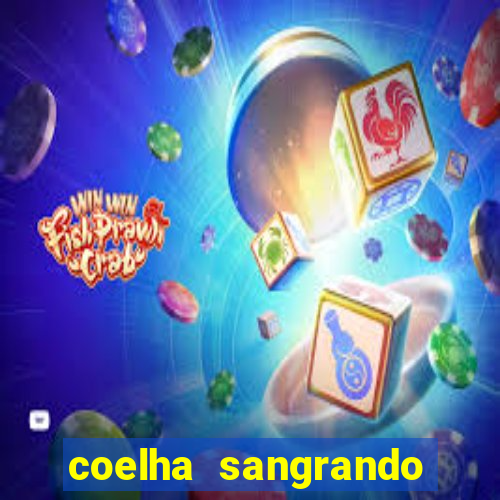 coelha sangrando pela parte intima