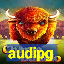 audipg