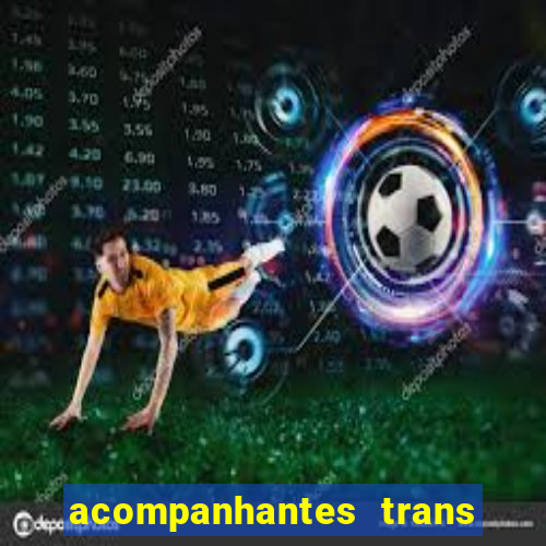 acompanhantes trans baixada fluminense