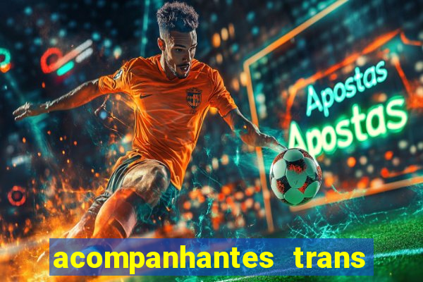 acompanhantes trans baixada fluminense