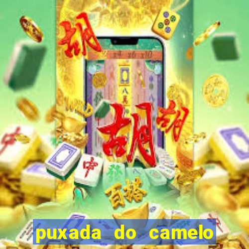 puxada do camelo no jogo do bicho