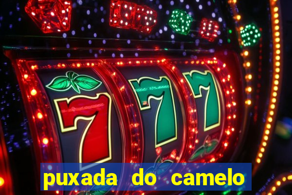 puxada do camelo no jogo do bicho