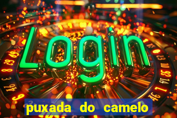 puxada do camelo no jogo do bicho