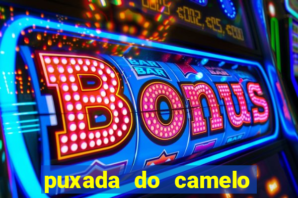 puxada do camelo no jogo do bicho