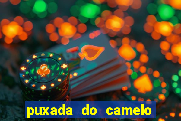 puxada do camelo no jogo do bicho