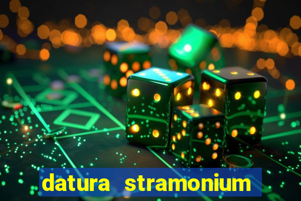 datura stramonium medicinal uses