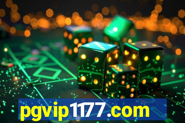 pgvip1177.com