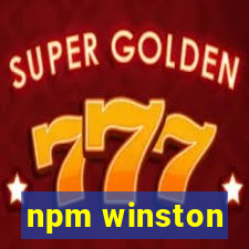 npm winston