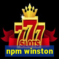 npm winston