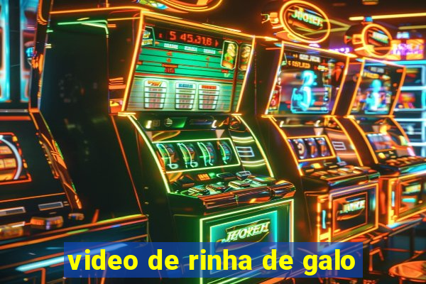 video de rinha de galo